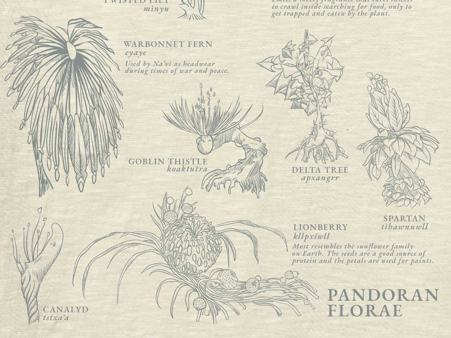 Disney's Avatar Pandoran Florae graphic