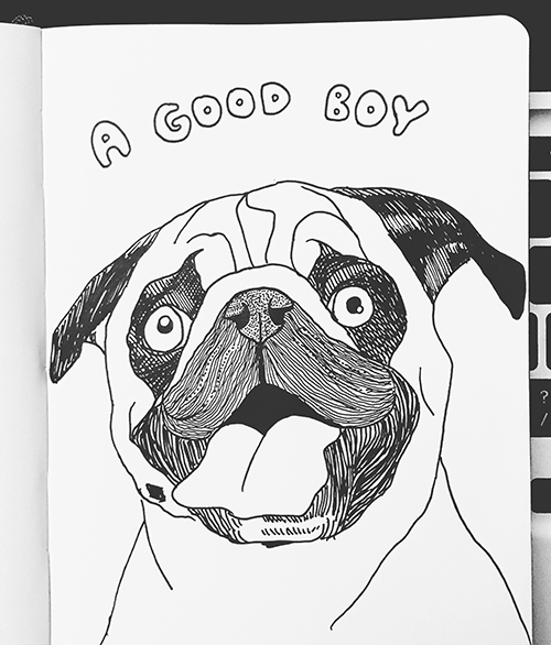 Ink pen illustration of a pug with caption of 'A Good Boy'